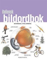 bokomslag Italiensk bildordbok