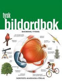 bokomslag Tysk bildordbok : Svenska/tyska