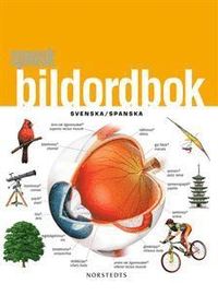 bokomslag Spansk bildordbok : svenska/spanska