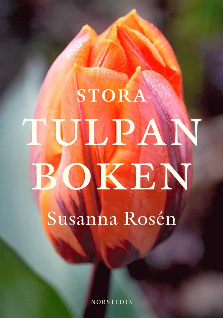 Stora tulpanboken