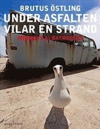 bokomslag Under asfalten vilar en strand : Midways albatrosser