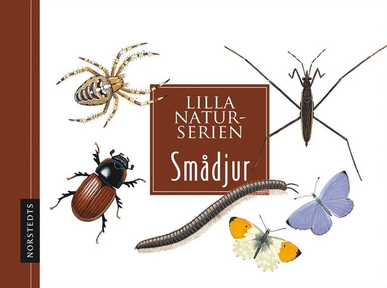 Smådjur : Lilla naturserien