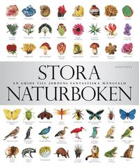 bokomslag Stora naturboken : en guide till jordens fantastiska mångfald