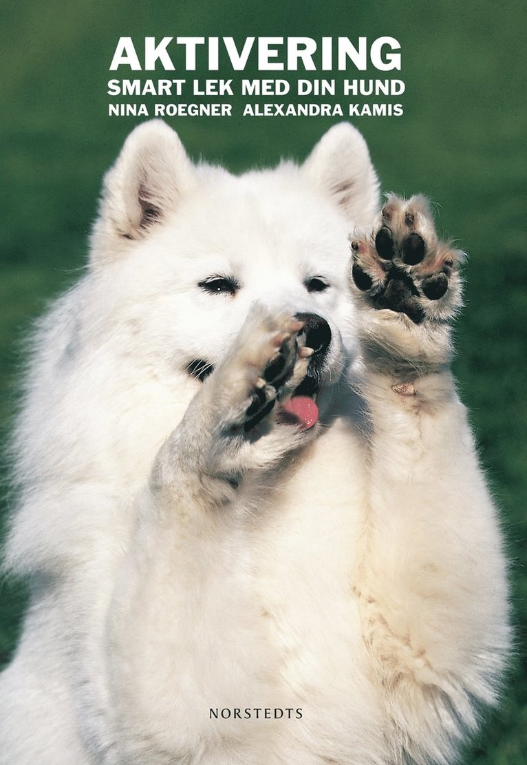 Aktivering : smart lek med din hund