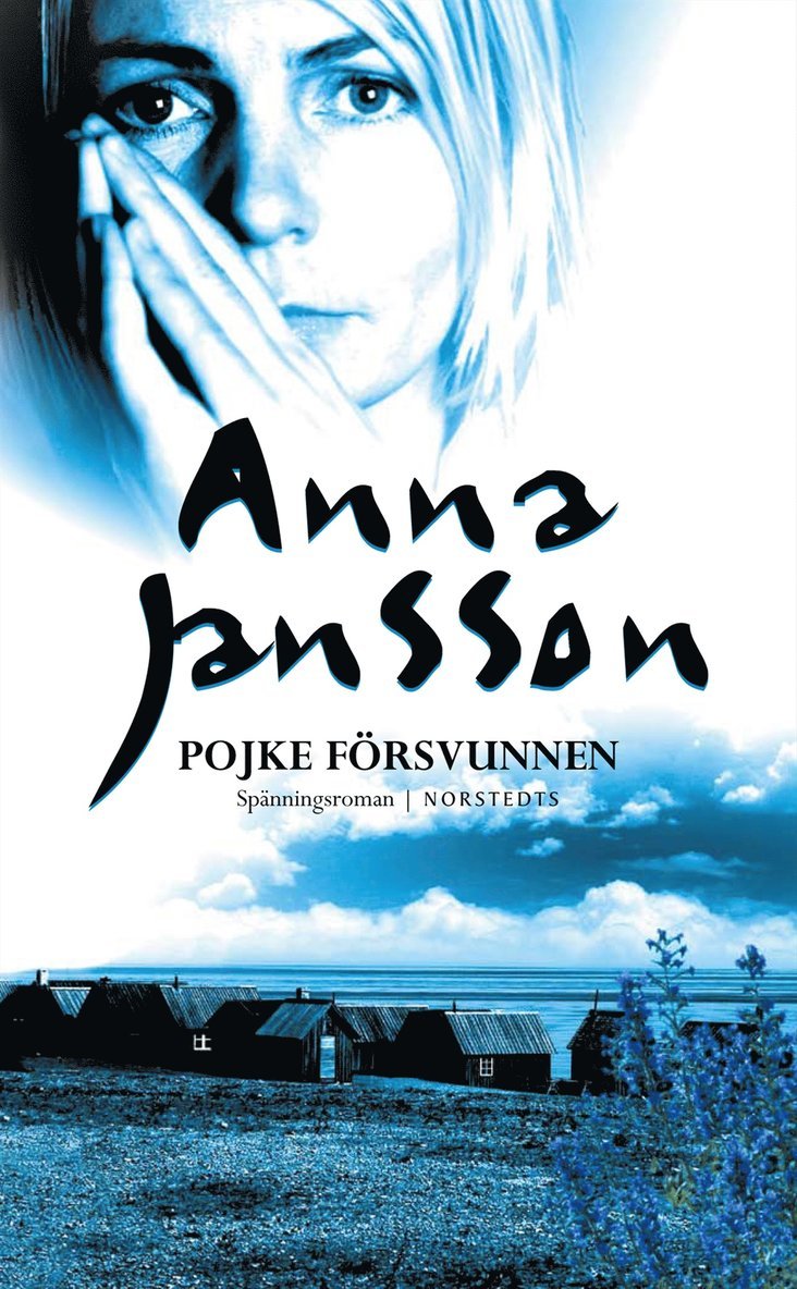 Pojke försvunnen