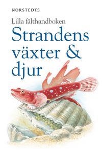 bokomslag Strandens växter & djur