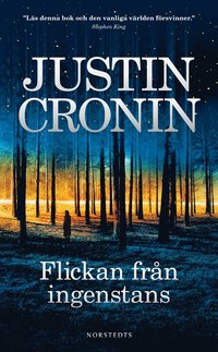 bokomslag Flickan från ingenstans