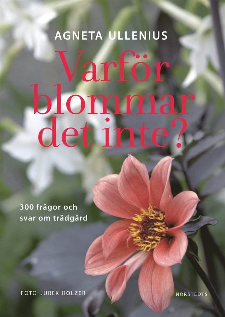 Agneta Ullenius - Varför blommar det inte? 300 frågor och svar om trädgård, Kartonnage