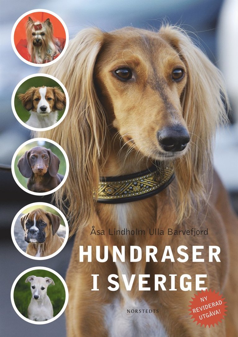 Hundraser i Sverige