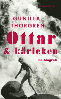 bokomslag Ottar och kärleken