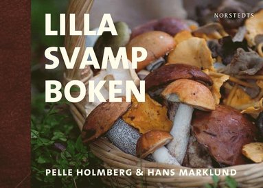 bokomslag Lilla svampboken