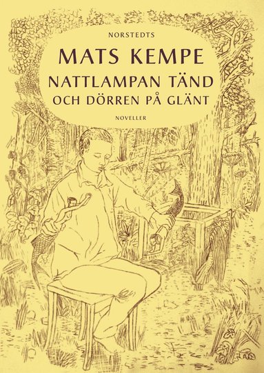 bokomslag Nattlampan tänd och dörren på glänt : noveller