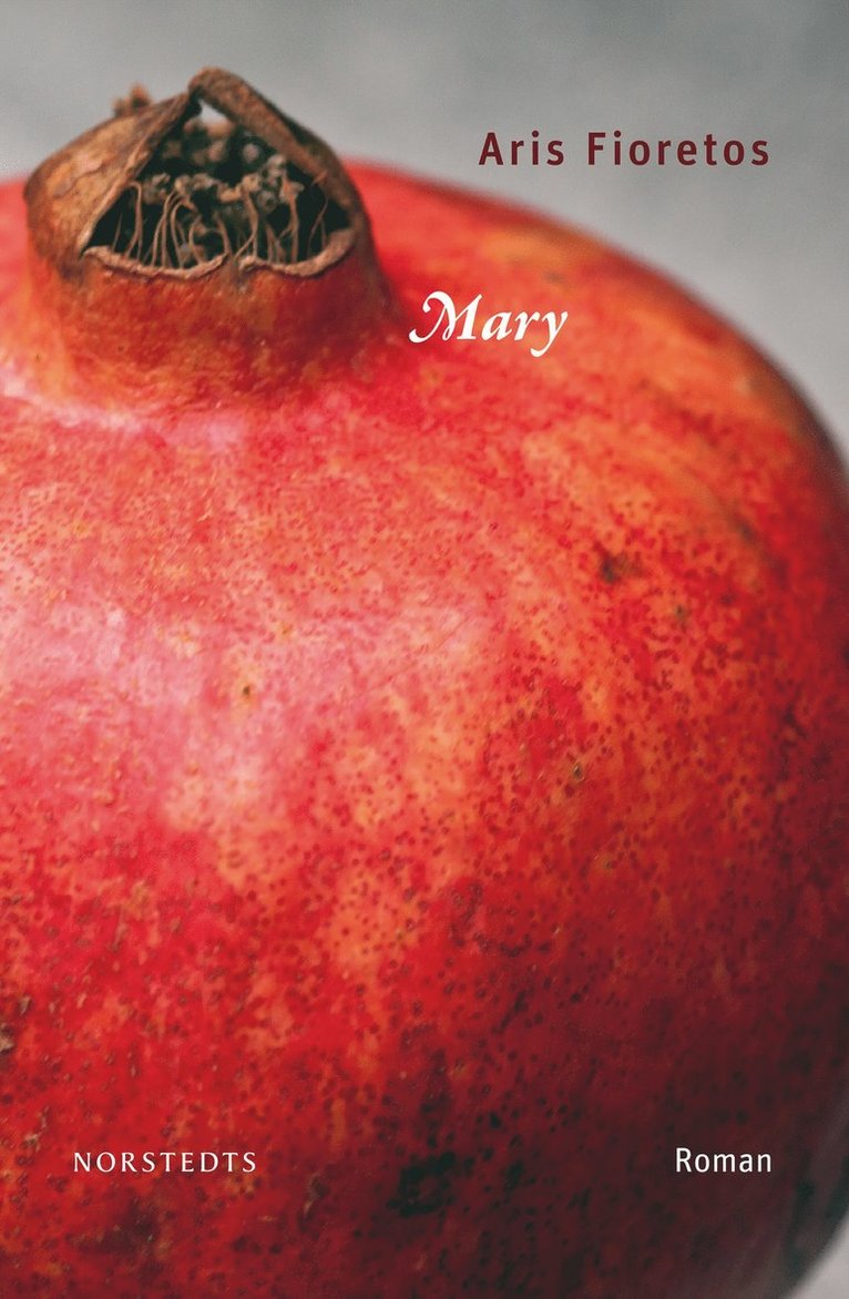 Aris Fioretos - Mary, Inbunden