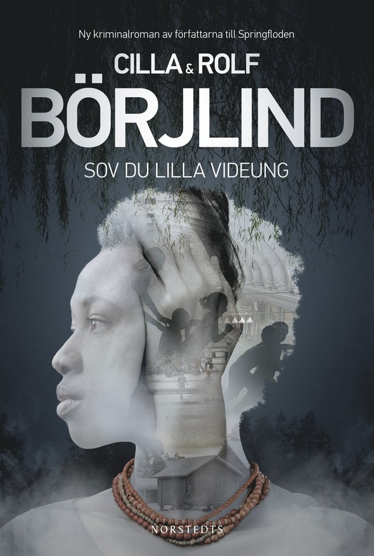 Cilla Börjlind, Rolf Börjlind - Sov du lilla videung, Inbunden