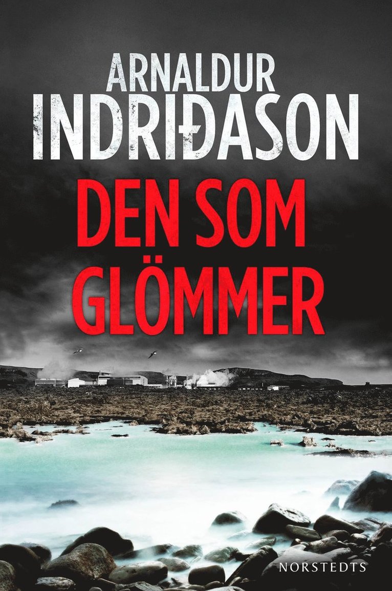Arnaldur Indridason - Den som glömmer, Inbunden