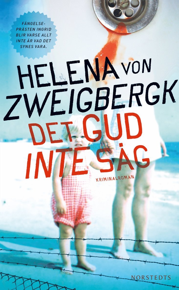 Helena von Zweigbergk - Det gud inte såg, Pocket