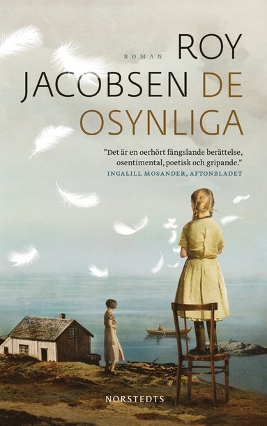 bokomslag De osynliga