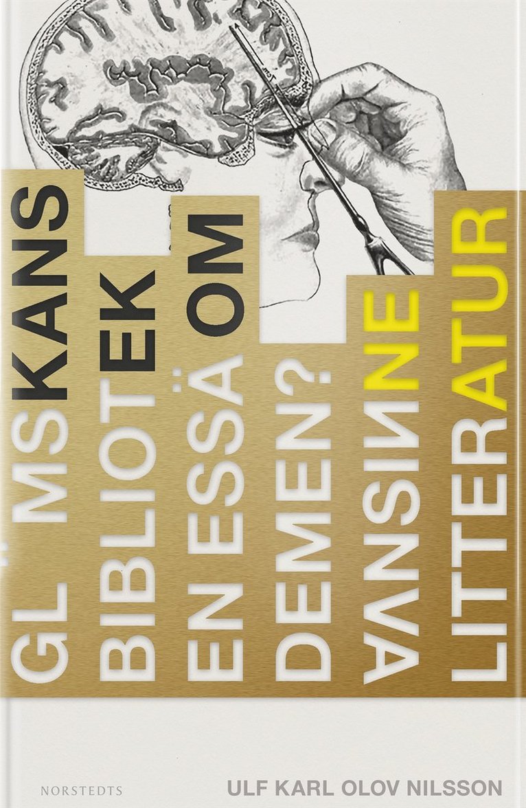 Glömskans bibliotek : en essä om demens, vansinne, litteratur