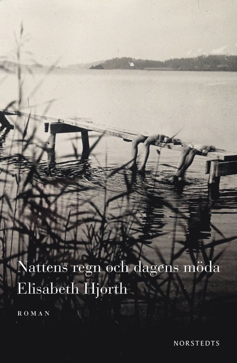 Elisabeth Hjorth - Nattens regn och dagens möda, Inbunden