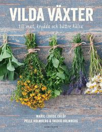 bokomslag Vilda växter : till mat, krydda och bättre hälsa