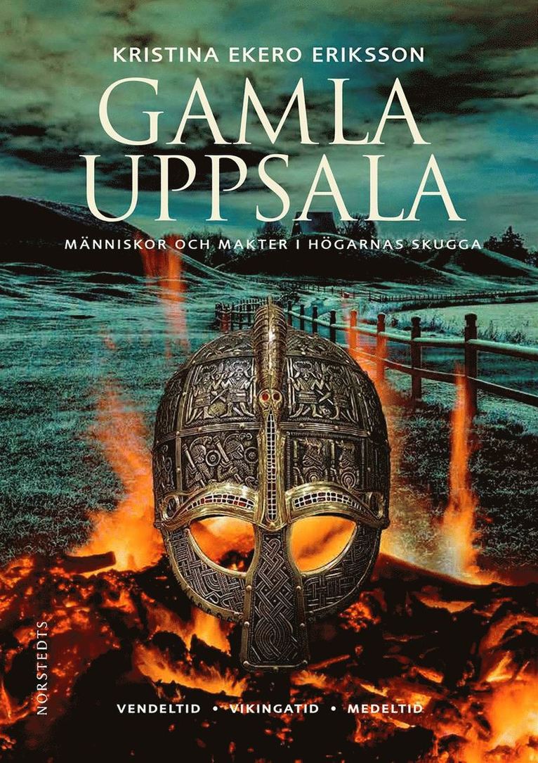 Gamla Uppsala : människor och makter i högarnas skugga