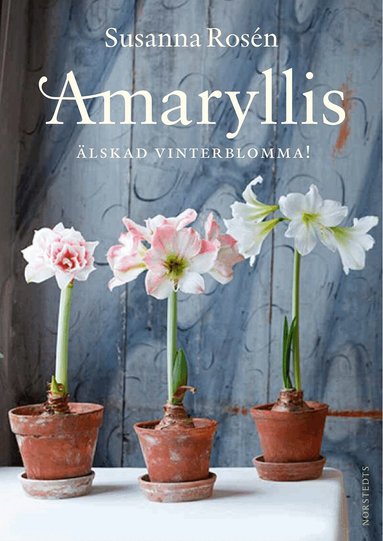 Susanna Rosén - Amaryllis : älskad vinterblomma!, Häftad