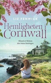 bokomslag Hemligheten i Cornwall