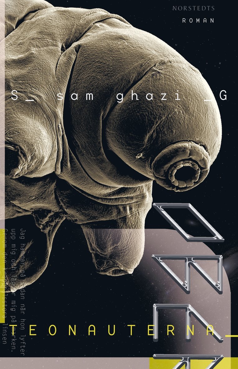 Sam Ghazi - Teonauterna, Inbunden