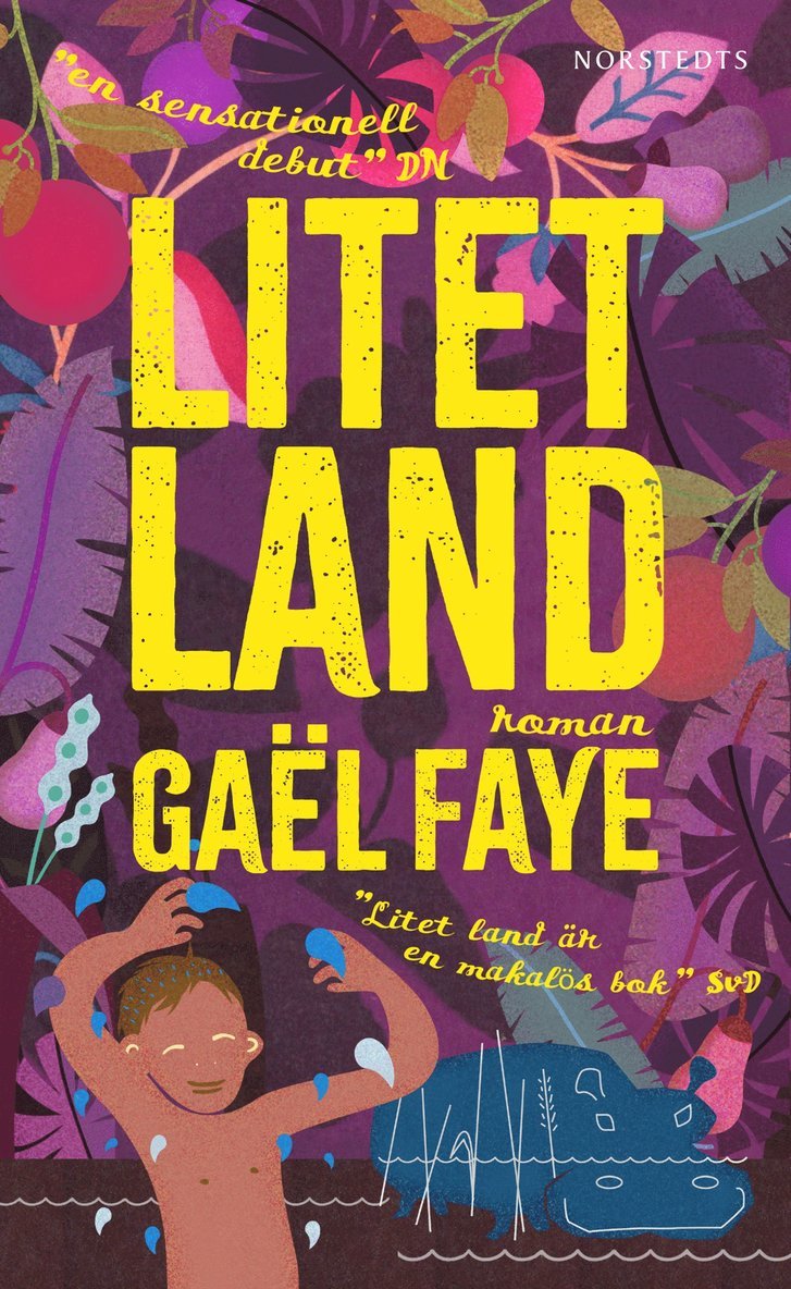 Gaël Faye - Litet land, Pocket