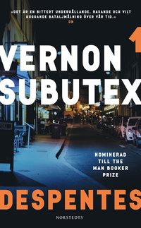 bokomslag Vernon Subutex 1