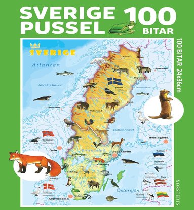 bokomslag Pussel 100 bitar Sverige