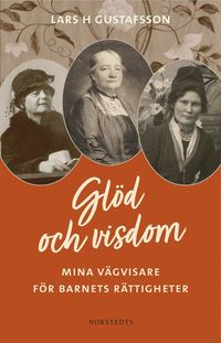 bokomslag Glöd och visdom : mina vägvisare för barnets rättigheter