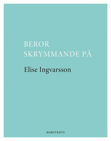bokomslag Beror skrymmande på