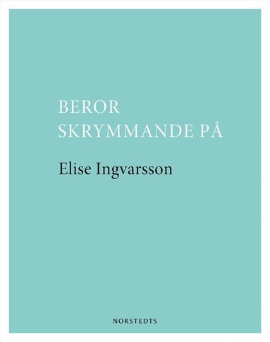 bokomslag Beror skrymmande på