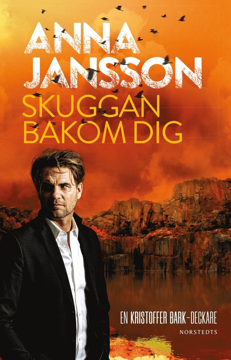 Anna Jansson - Skuggan bakom dig, Storpocket