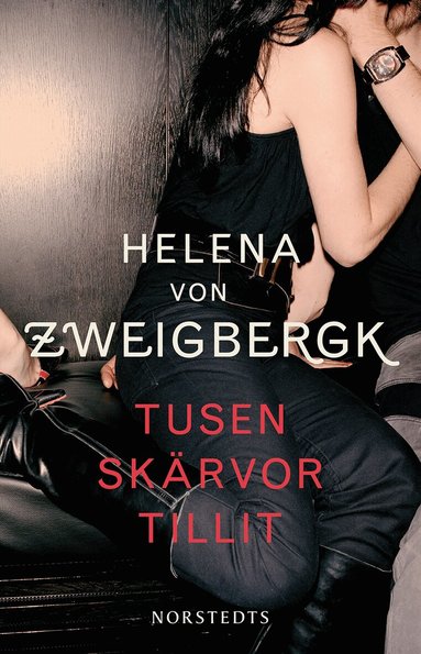 Helena von Zweigbergk - Tusen skärvor tillit, Häftad