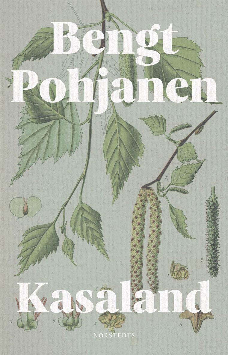 Bengt Pohjanen - Kasaland, Häftad