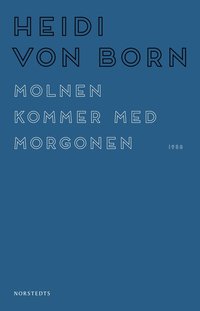 bokomslag Molnen kommer med morgonen