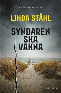 bokomslag Syndaren ska vakna