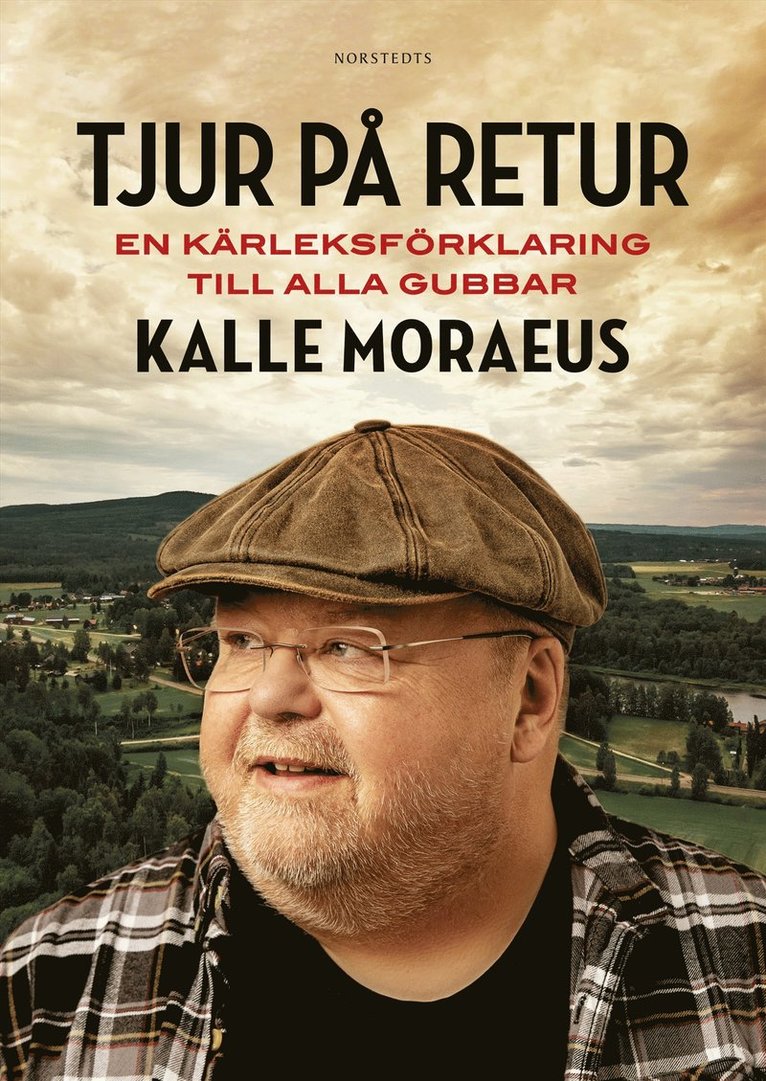 Tjur på retur : en kärleksförklaring till alla gubbar