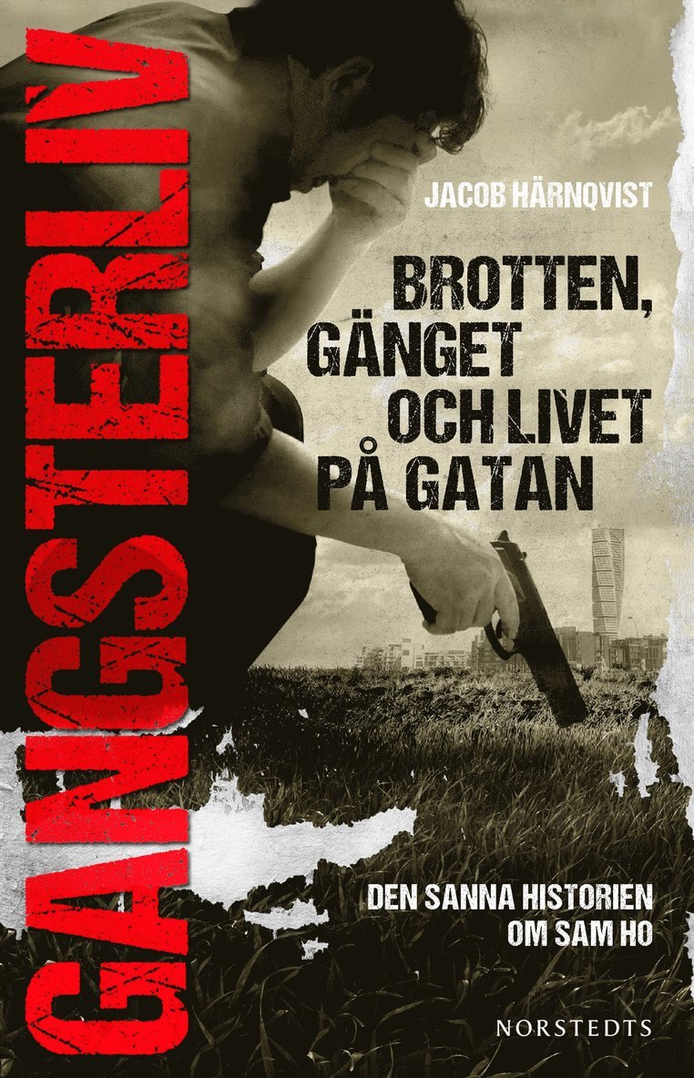Gangsterliv : brotten, gänget och livet på gatan - den sanna historien om Sam Ho