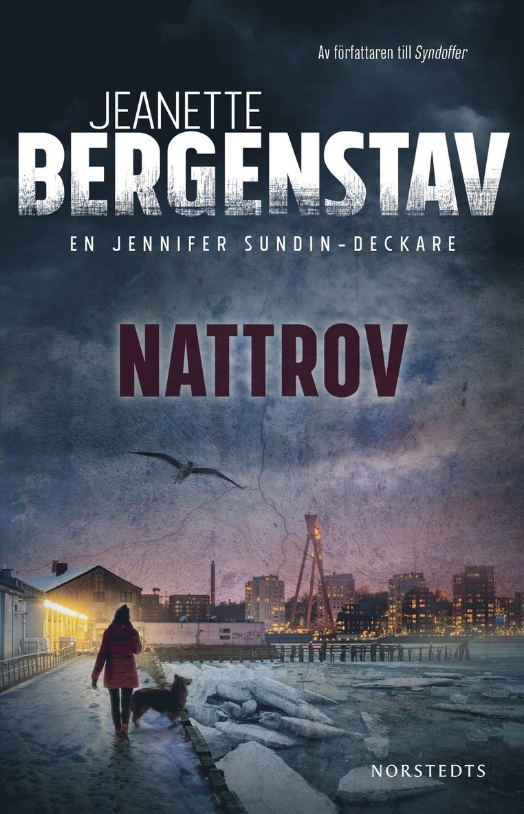Jeanette Bergenstav - Nattrov, Inbunden