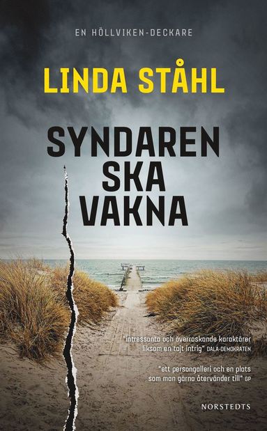 bokomslag Syndaren ska vakna