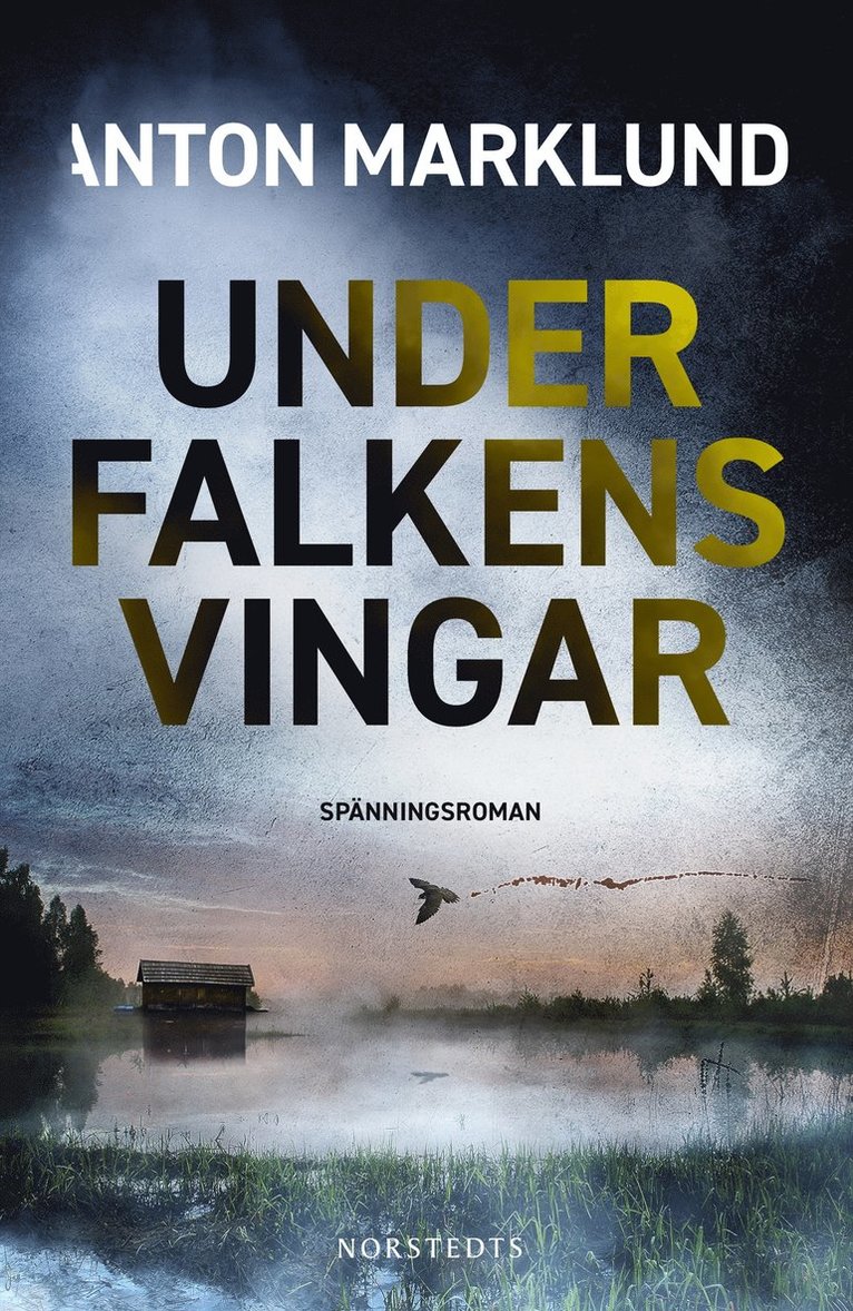 Under falkens vingar