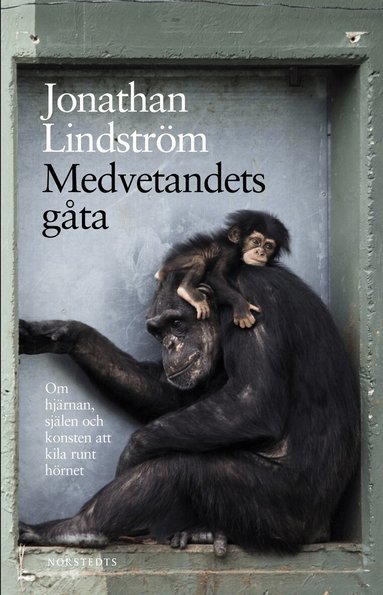 Jonathan Lindström - Medvetandets gåta : om hjärnan, själen och konsten att kila runt hörnet, Häftad