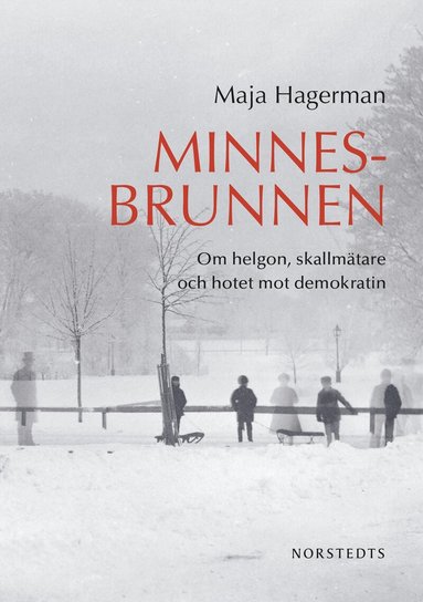 Maja Hagerman - Minnesbrunnen : om helgon, skallmätare och hotet mot demokratin, Inbunden