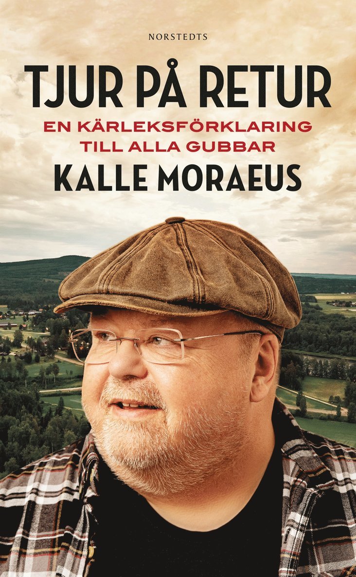 Tjur på retur : en kärleksförklaring till alla gubbar