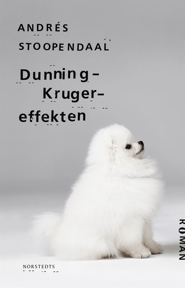 Dunning-Kruger-effekten 1