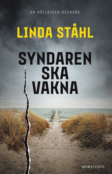 bokomslag Syndaren ska vakna