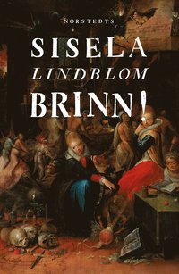 bokomslag Brinn!